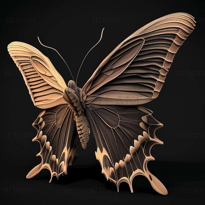 Animals Papilio palinurus